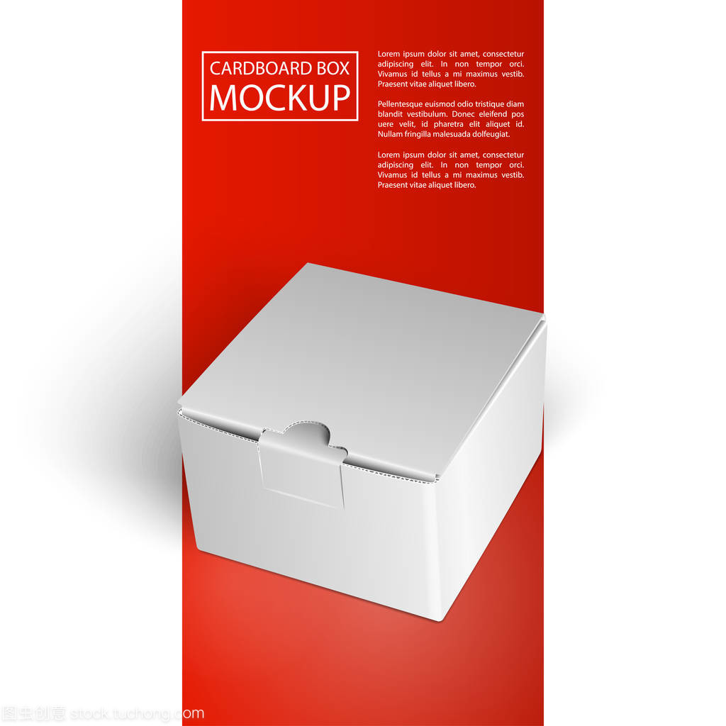 纸板箱样机-01 包 创新设计与环保包装的未来探索